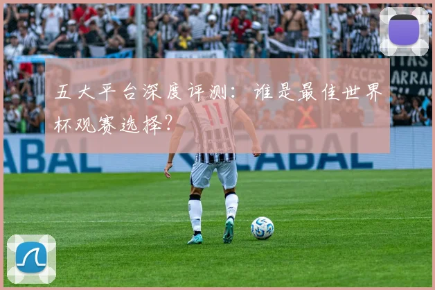 五大平台深度评测：谁是最佳世界杯观赛选择？