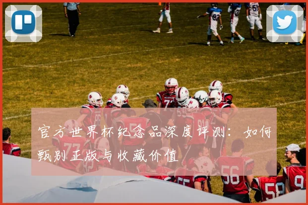 官方世界杯纪念品深度评测：如何甄别正版与收藏价值